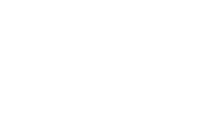 Black Lion Digital